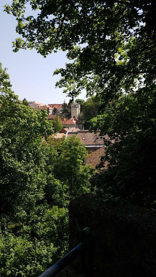 Downtown Beauty Apartment Zagrzeb Zewnętrze zdjęcie