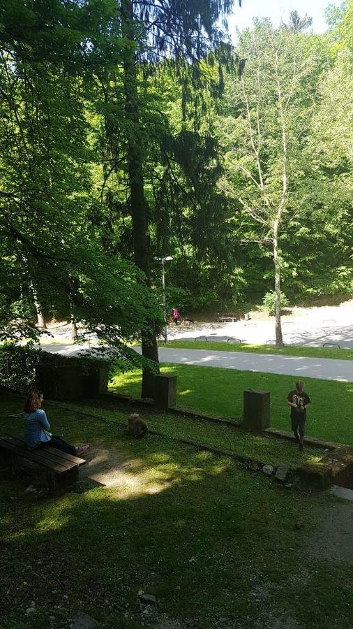 Downtown Beauty Apartment Zagrzeb Zewnętrze zdjęcie